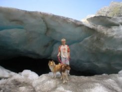 DogWalkTrail hondenvakantie ervaringen Oostenrijk 2003 zomer