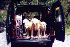 DogWalkTrail hondenvakantie ervaringen België 2001